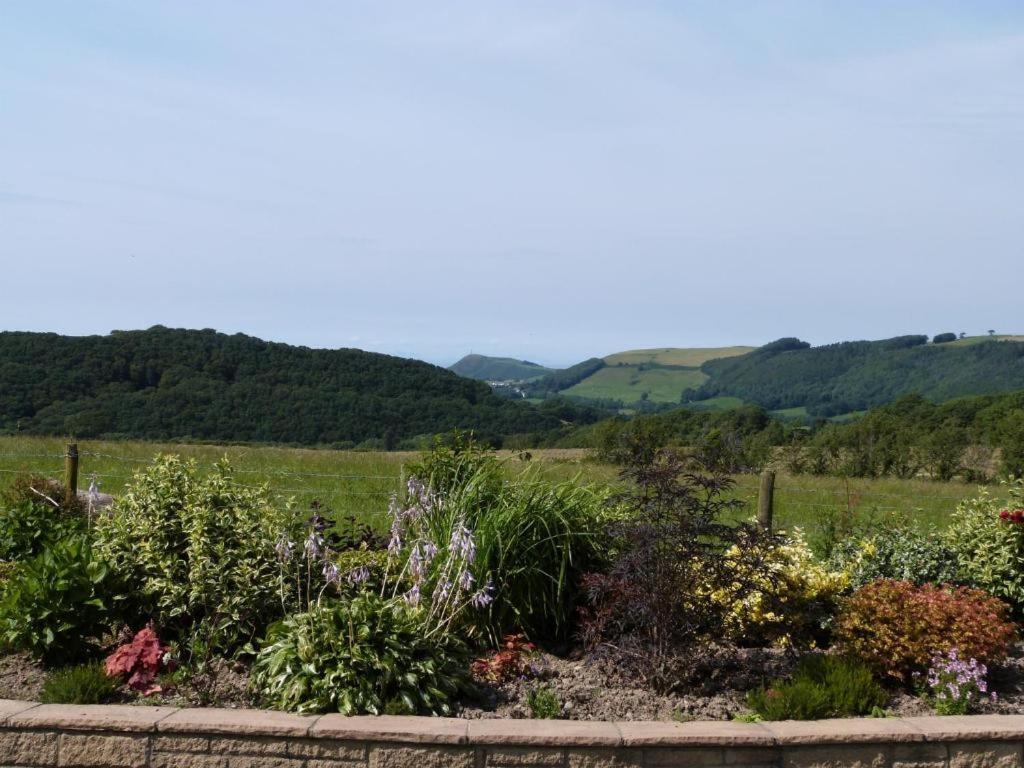 Aberystwyth Enlli Cottage Buitenkant foto